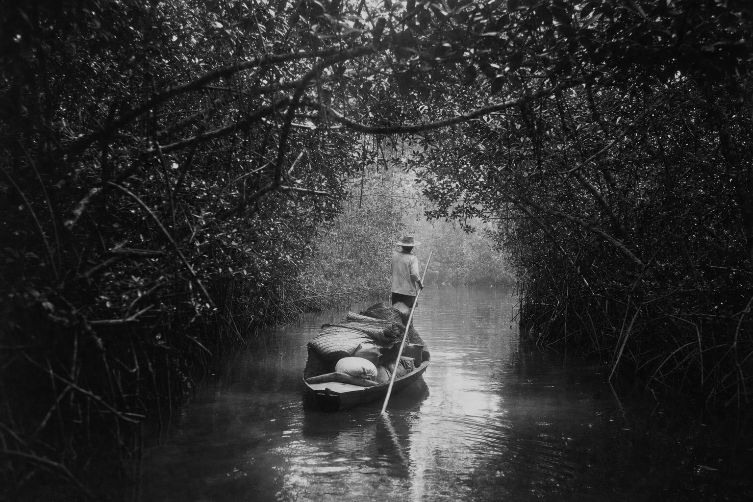 Poling up the mangrove creek to Cagraray