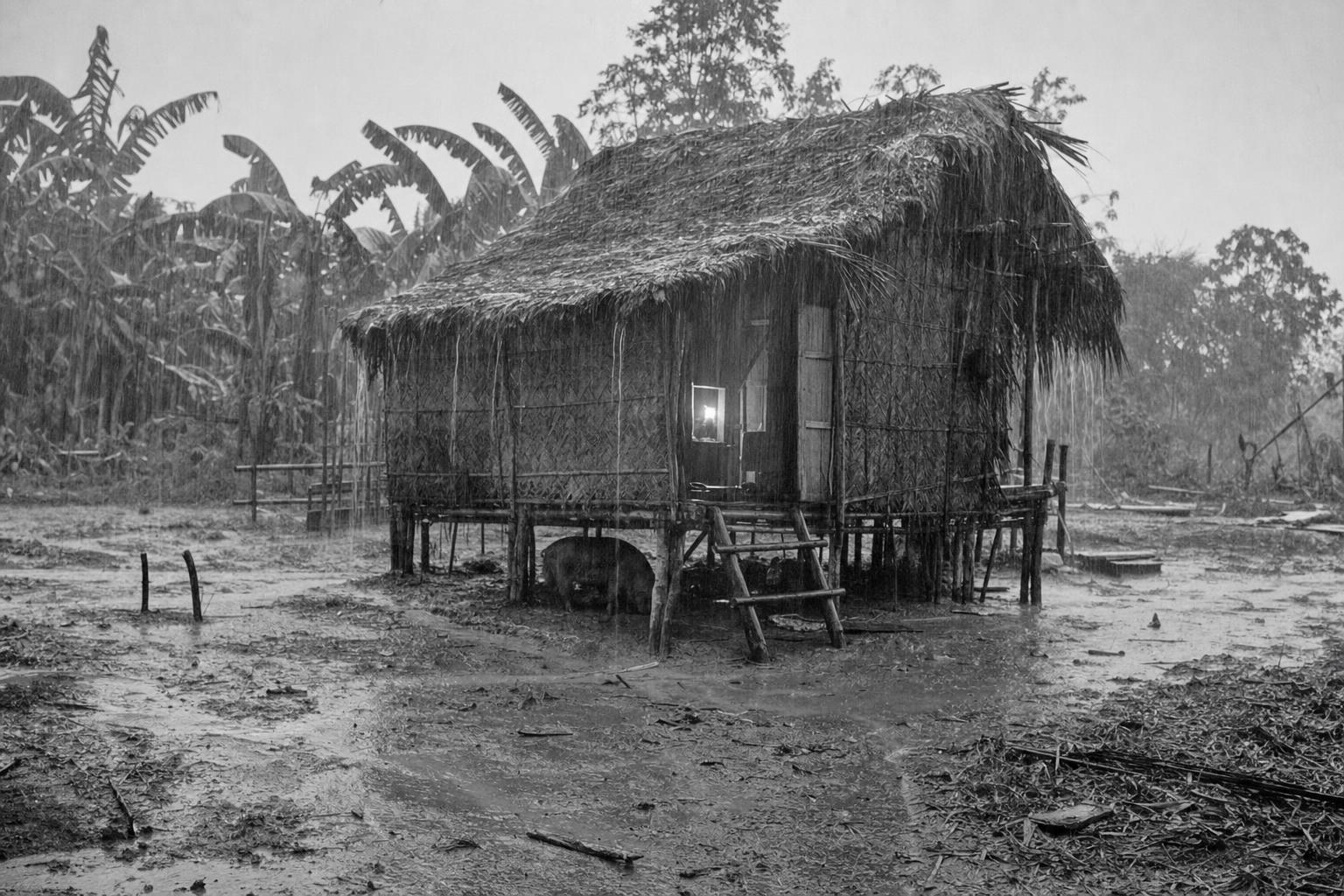 The rains at Rosa's hut