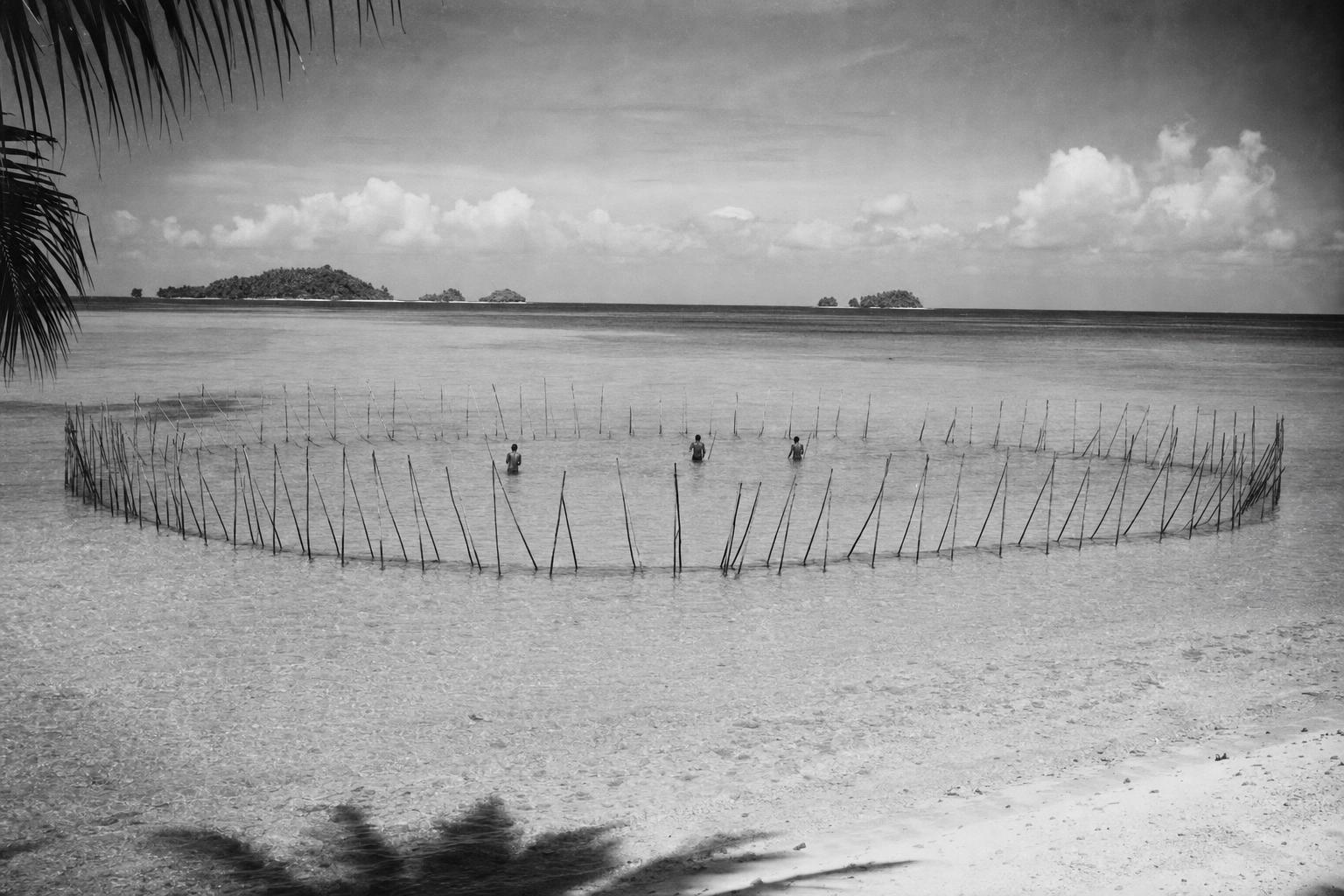 The great fish trap at Gueron