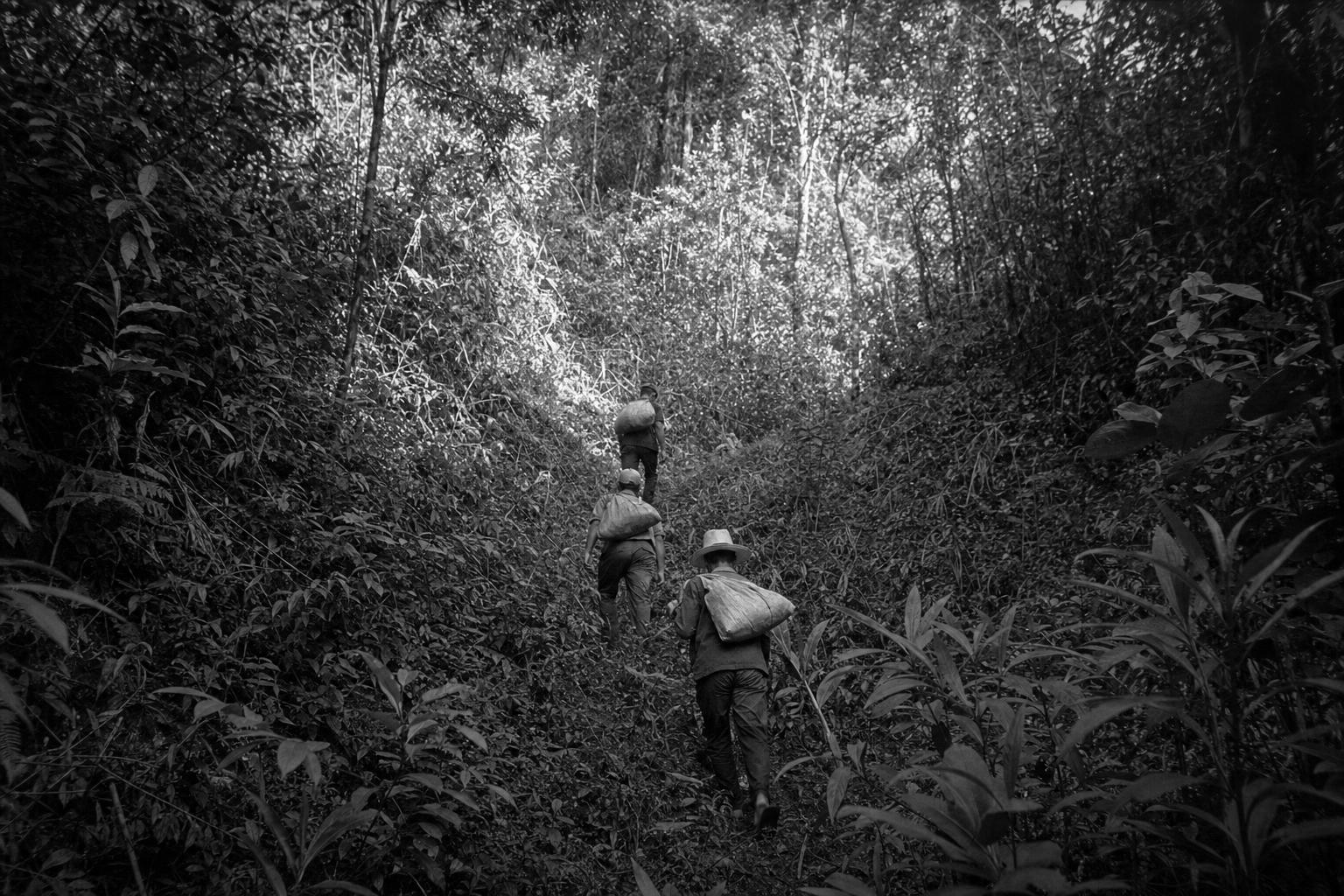 Father Christmas comes up the trail, 1942
